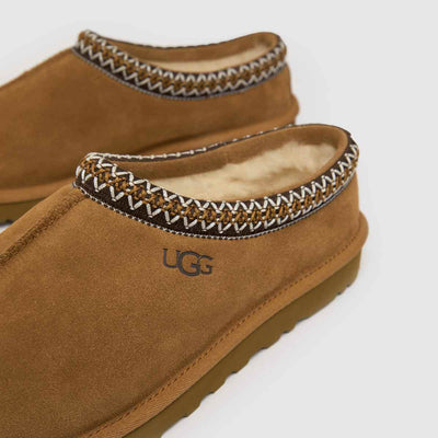 New Women's Tazzs